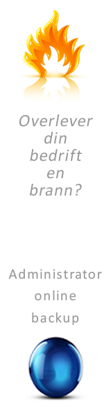Overlever din bedrift en brann ?